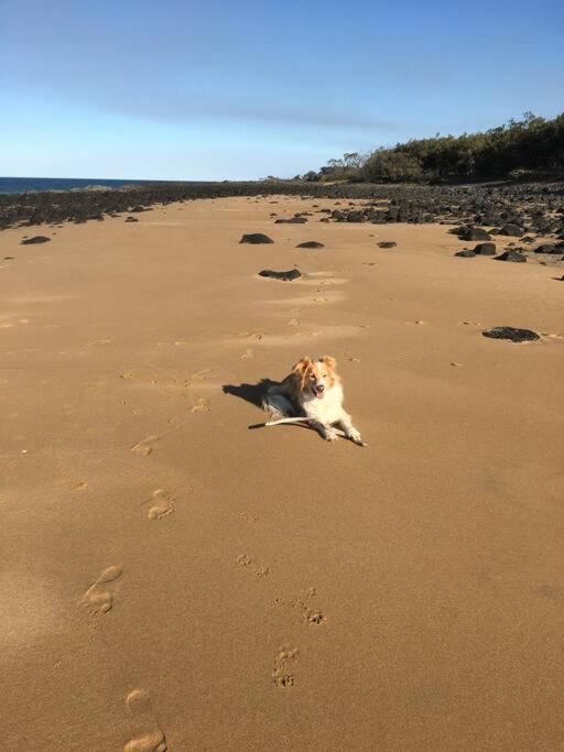 Puppies&Pancakes At Innes Park Opp Park&Beach Dogs Welcome Inside Pemberton Exterior foto