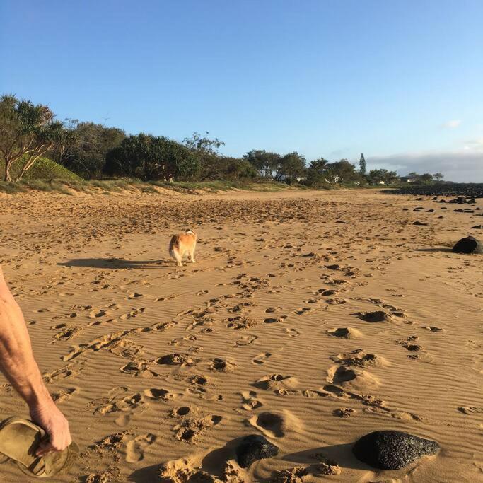 Puppies&Pancakes At Innes Park Opp Park&Beach Dogs Welcome Inside Pemberton Exterior foto