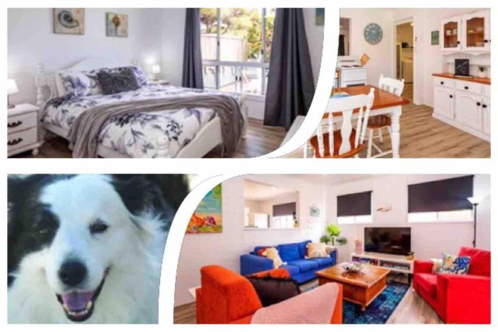 Puppies&Pancakes At Innes Park Opp Park&Beach Dogs Welcome Inside Pemberton Exterior foto